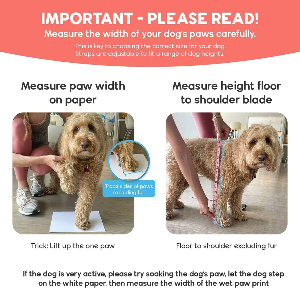 Ajustes dobles en calcetines Walkee Paws para un ajuste estable en todas las patas.