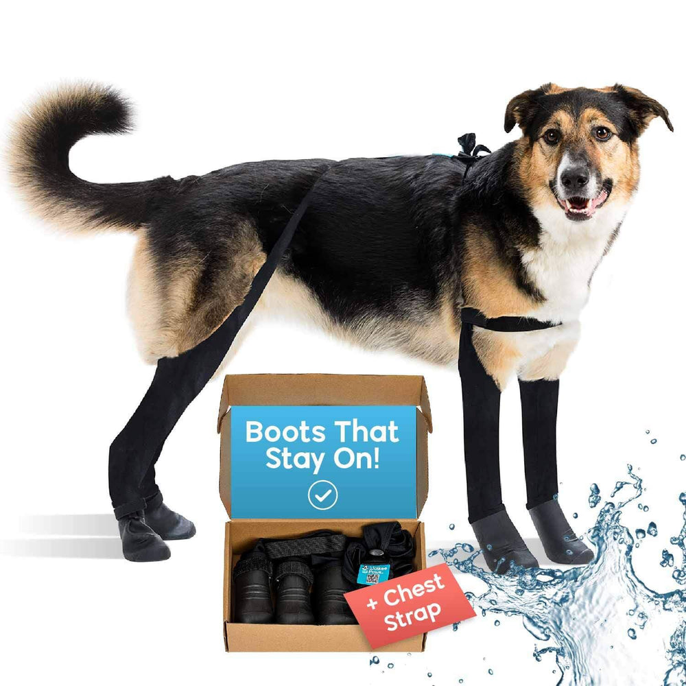 Walkee Paws conjunto patentado con tirantes para ajuste