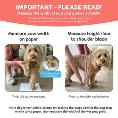 Diseño trasero con ajuste de Walkee Paws para colocación rápida y segura