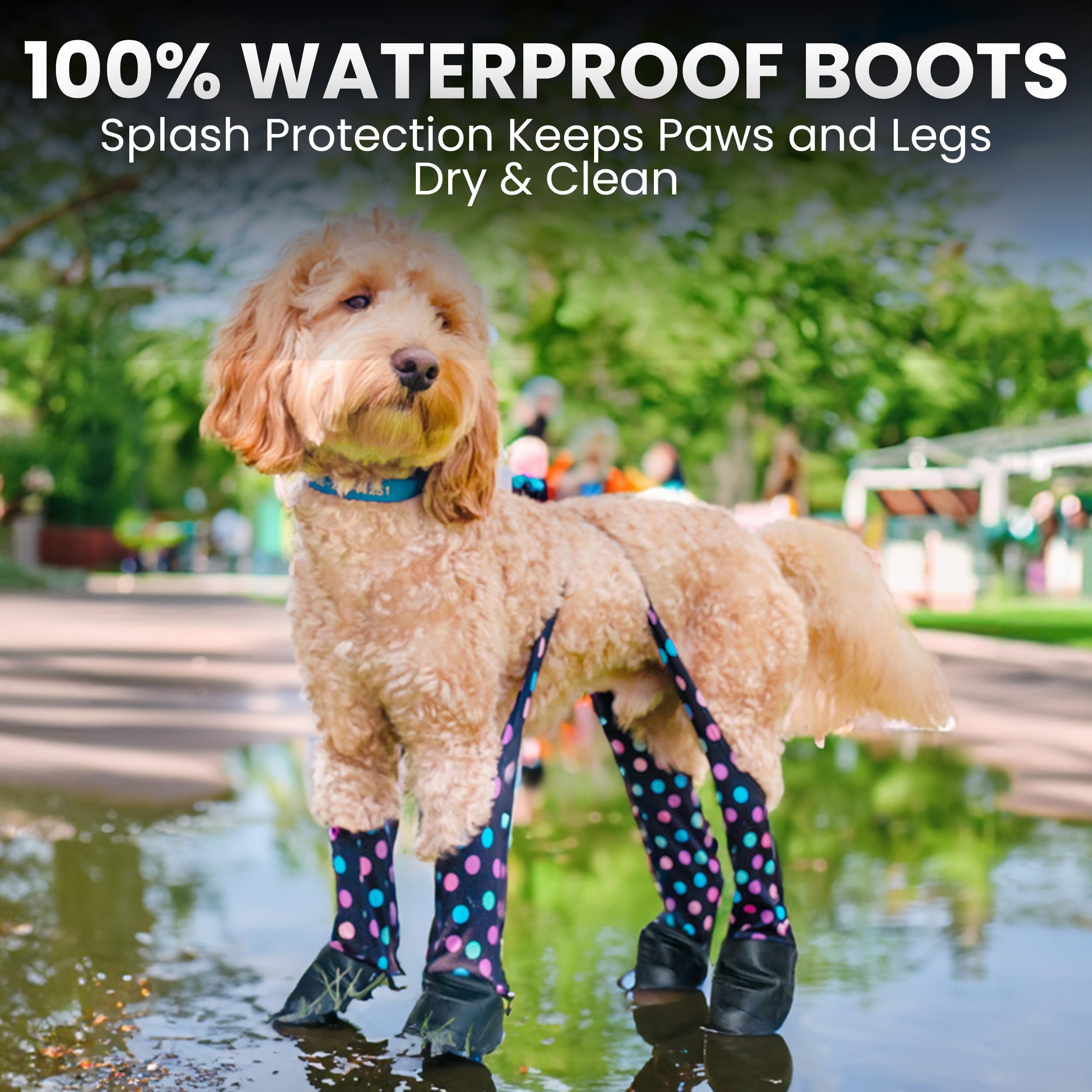 Walkee Paws: protección completa de piernas con leggings para perros