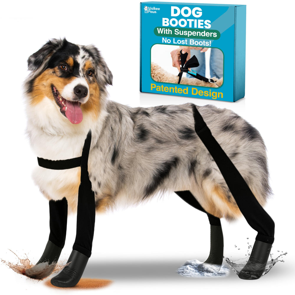 Walkee Paws protección de patas para paseos diarios seguros
