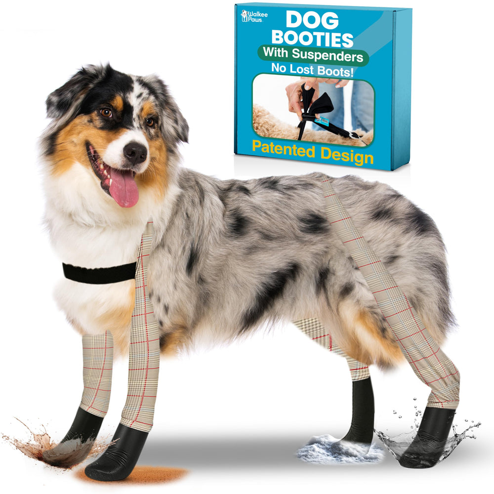 Protección invernal Walkee Paws para perros en paseos diarios
