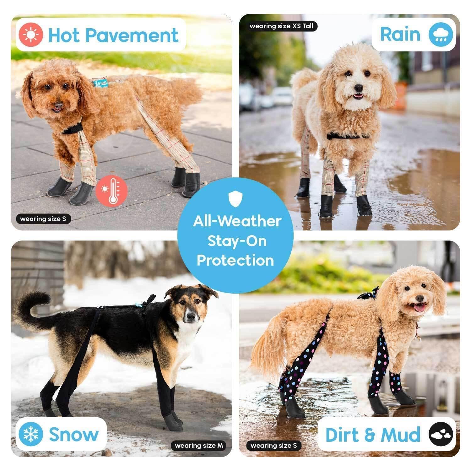 Walkee Paws protección total para patas y piernas en invierno para paseos limpios.