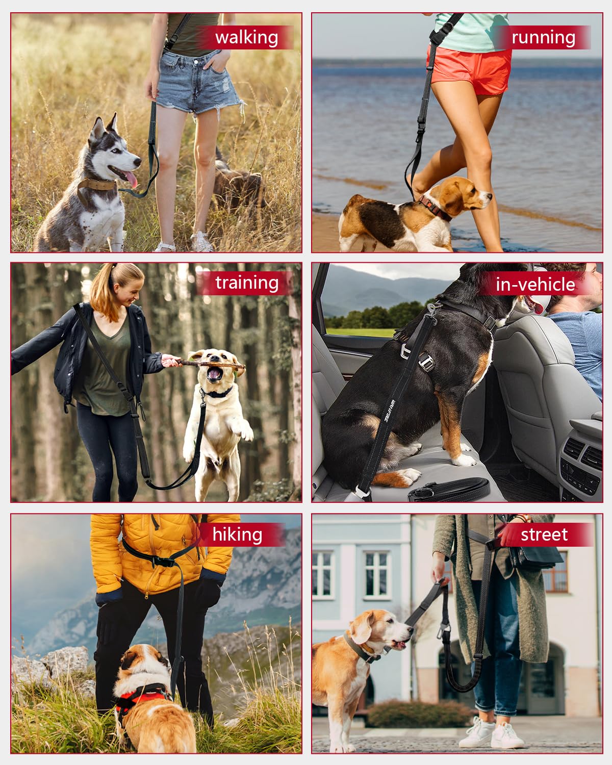 WANFIRE: correa de nylon de alta resistencia para perros grandes.
