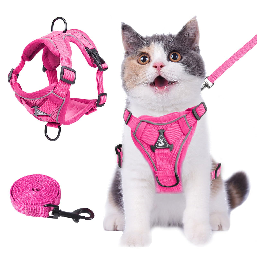 Wanheart arnés para gato con malla suave para paseos cómodos.