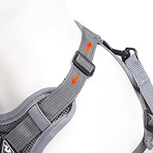 Wanheart conjunto arnés y correa para paseos fáciles y seguros.