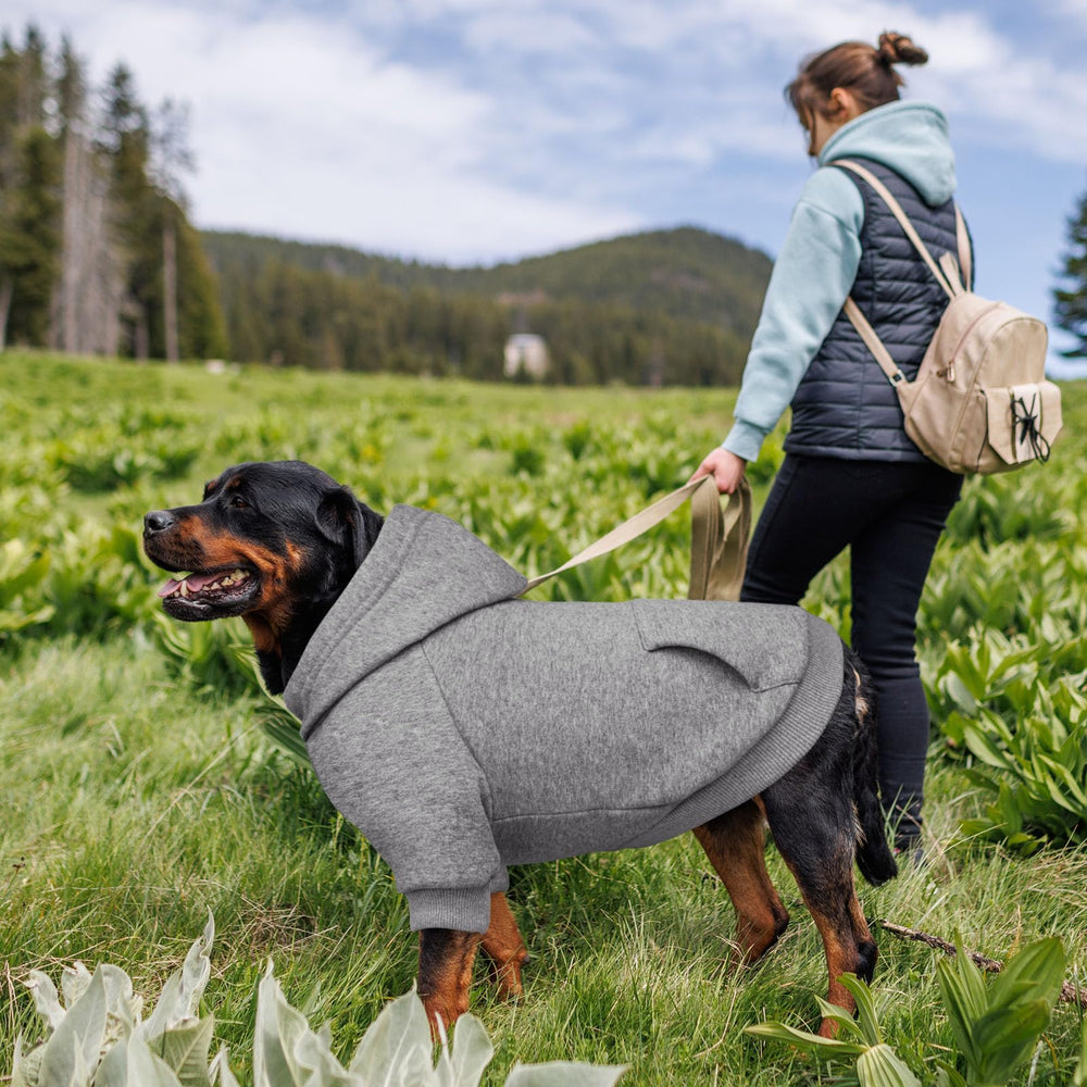 Waoduld sudadera para perros 3XL en uso diario, cómodo y práctico