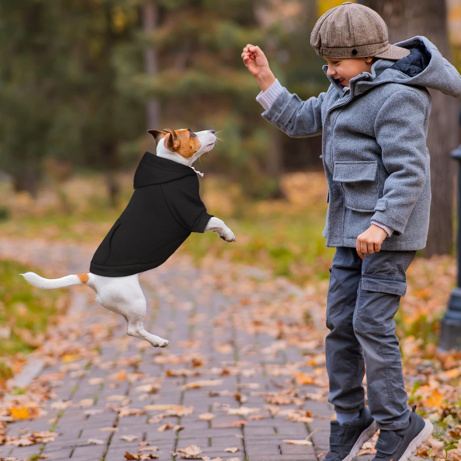 Waoduld sudadera para perro capucha y bolsillo funcional para paseos