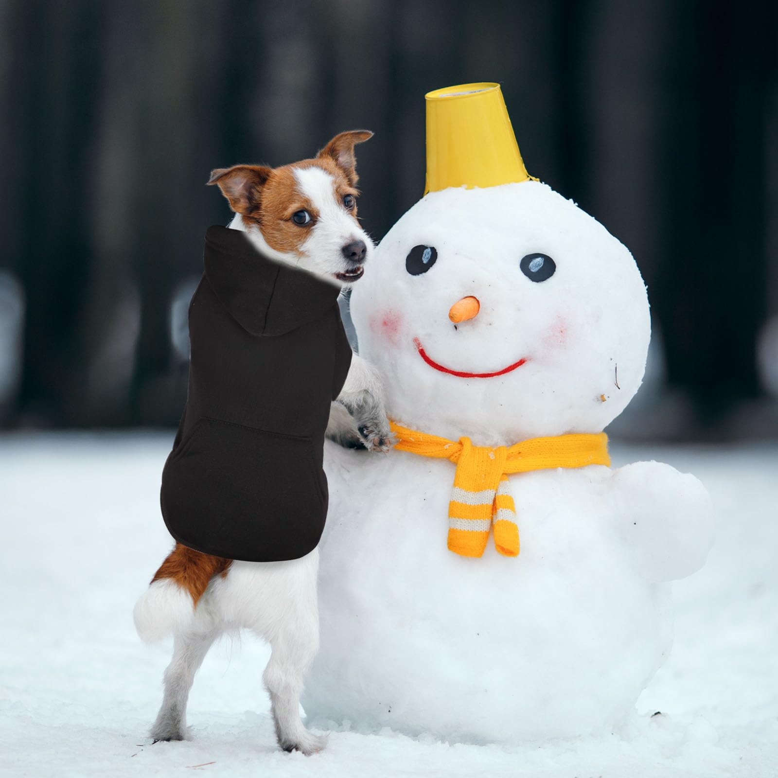 Waoduld sudadera para perro diseño clásico y atemporal
