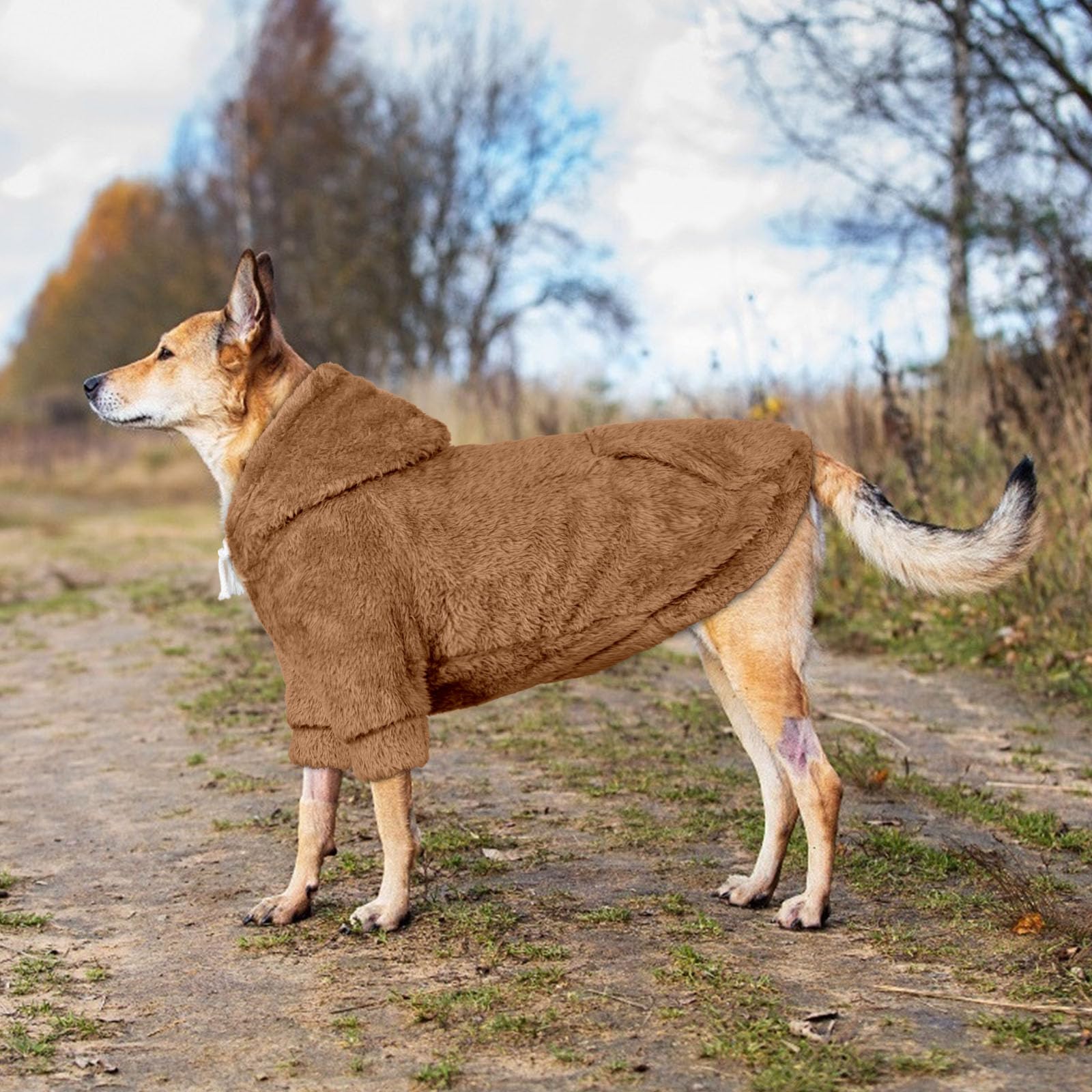 Waoduld sudadera con costuras reforzadas para durabilidad.