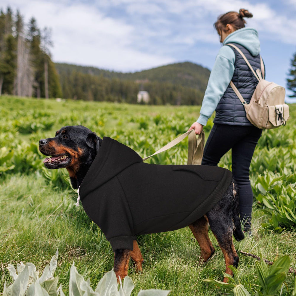 Waoduld sudadera para perro uso diario, suave y duradera