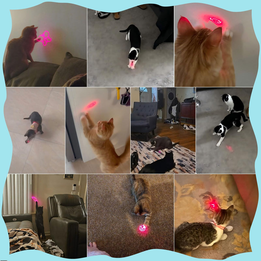 Juguete waputne para gatos recargable por USB, evita baterías desechables.