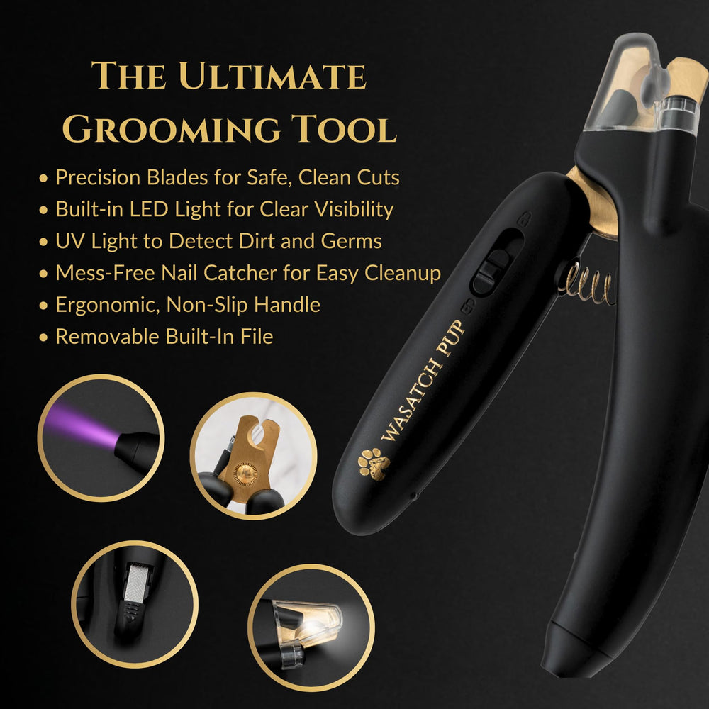 Wasatch Pup con luz UV para detectar suciedad en patas.