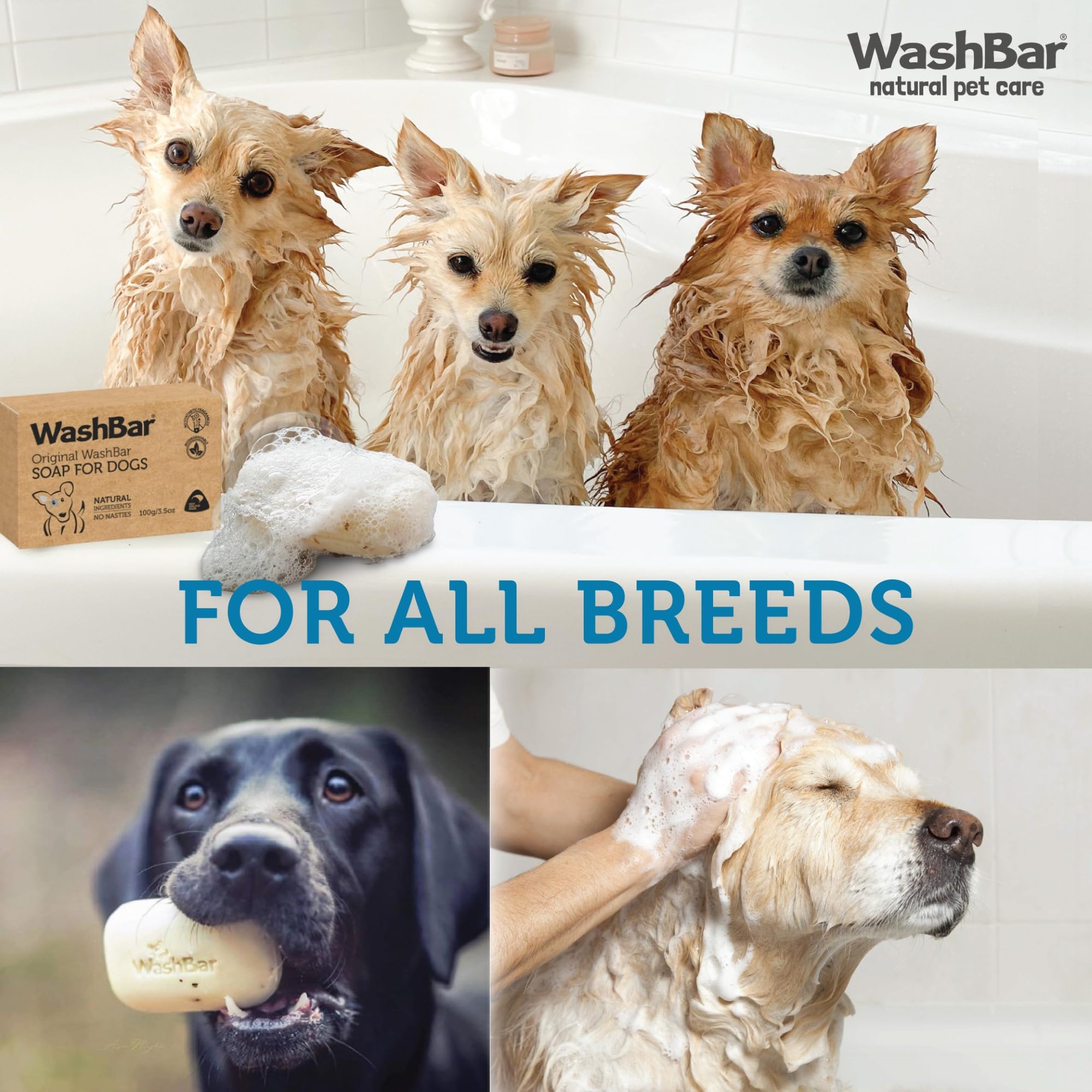 WashBar aroma suave cítrico deja al perro oliendo fresco
