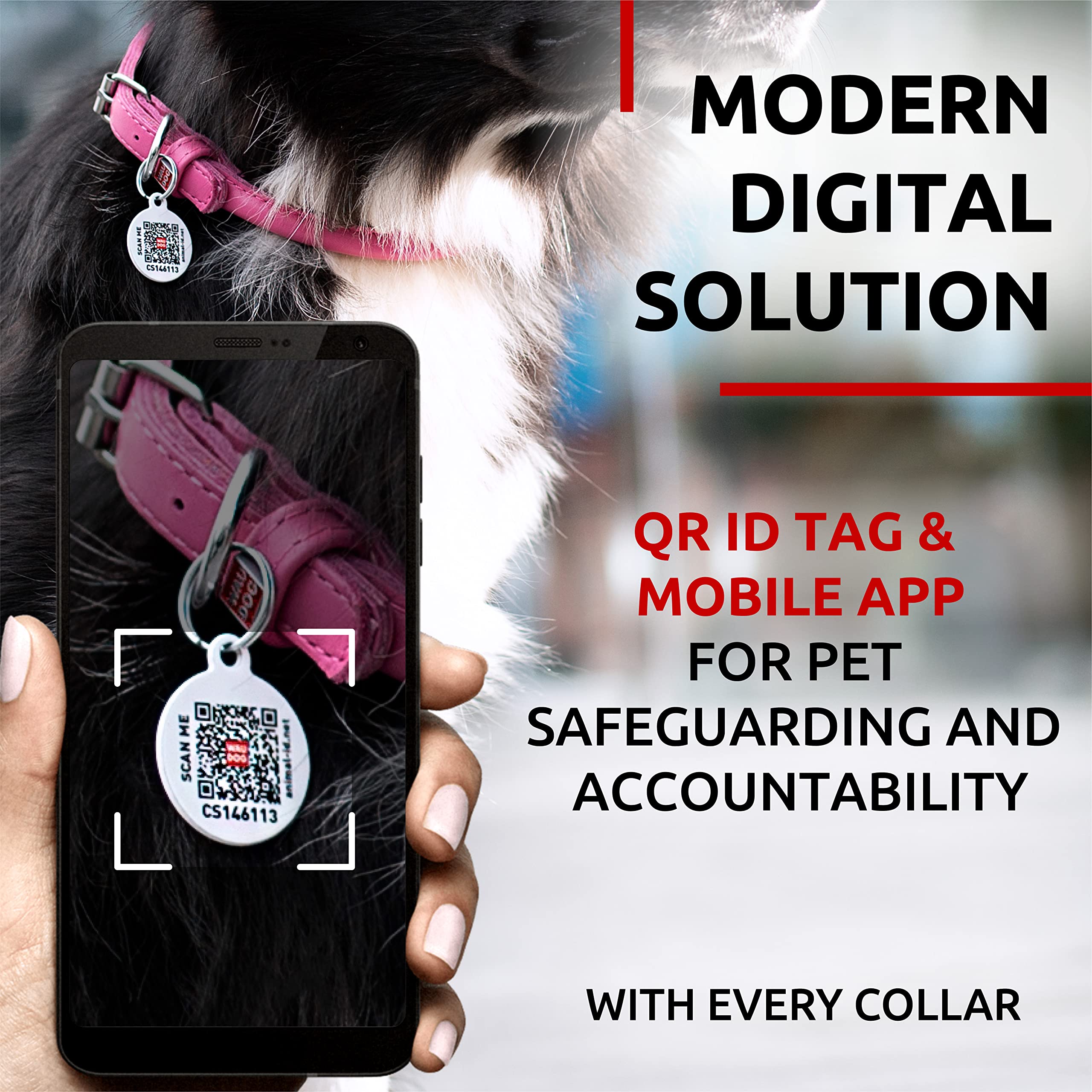 WAUDOG collar ajustable para tallas pequeñas, medianas y grandes