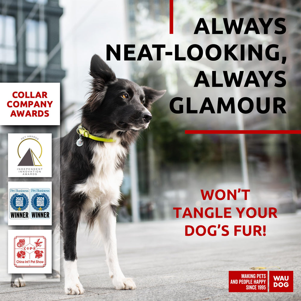 WAUDOG collar ajustable en varias tallas, perfecto para perros activos.