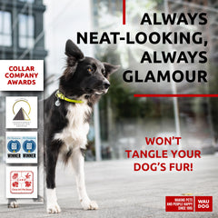 WAUDOG collar ajustable en varias tallas, perfecto para perros activos.