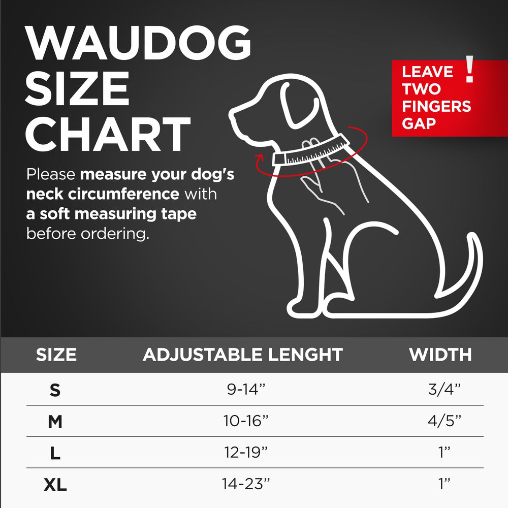 WAUDOG collar en colores brillantes para visibilidad y estilo