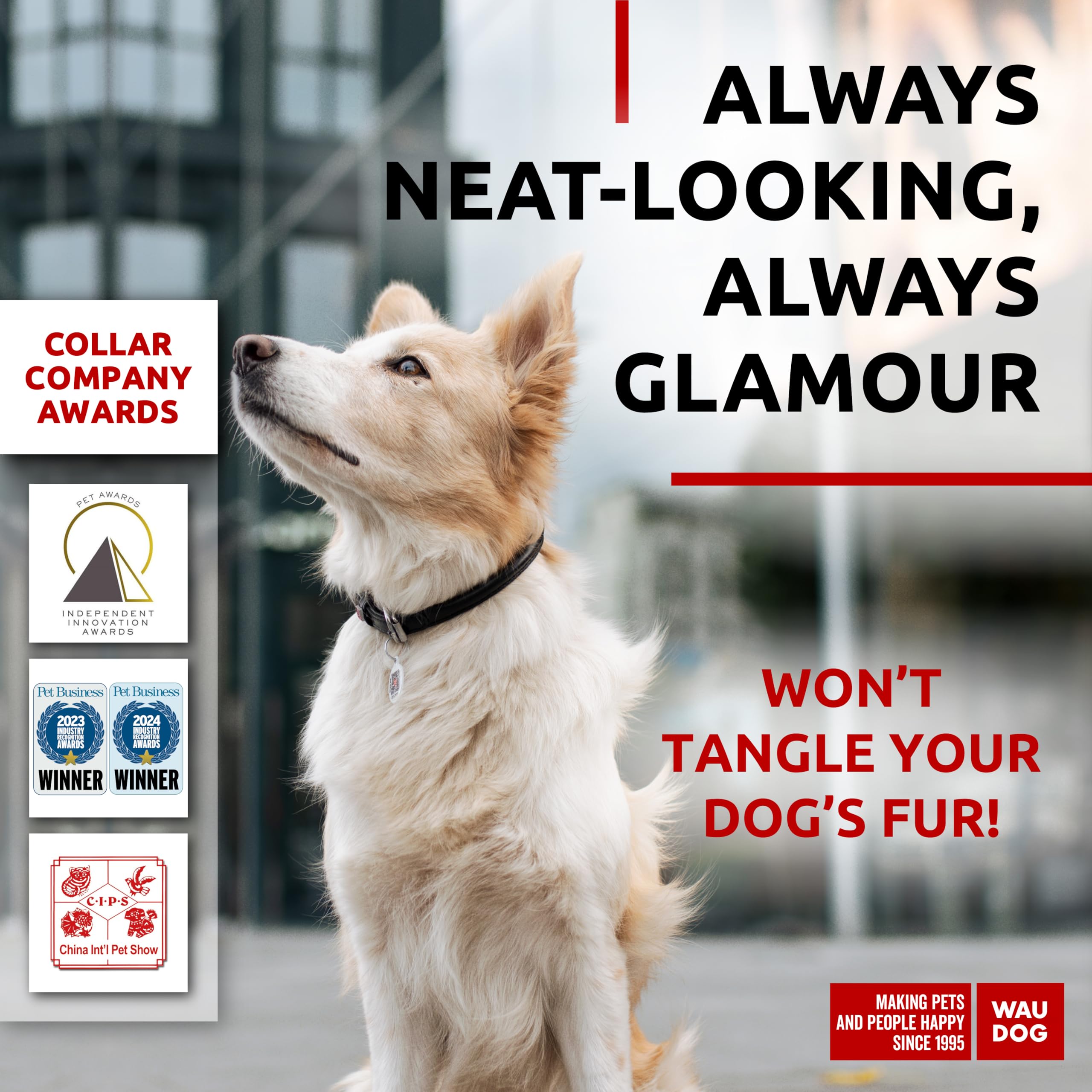 WAUDOG collar cuero rolado ajustable para perro pequeño y seguro