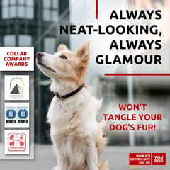 WAUDOG collar cuero rolado ajustable para perro pequeño y seguro