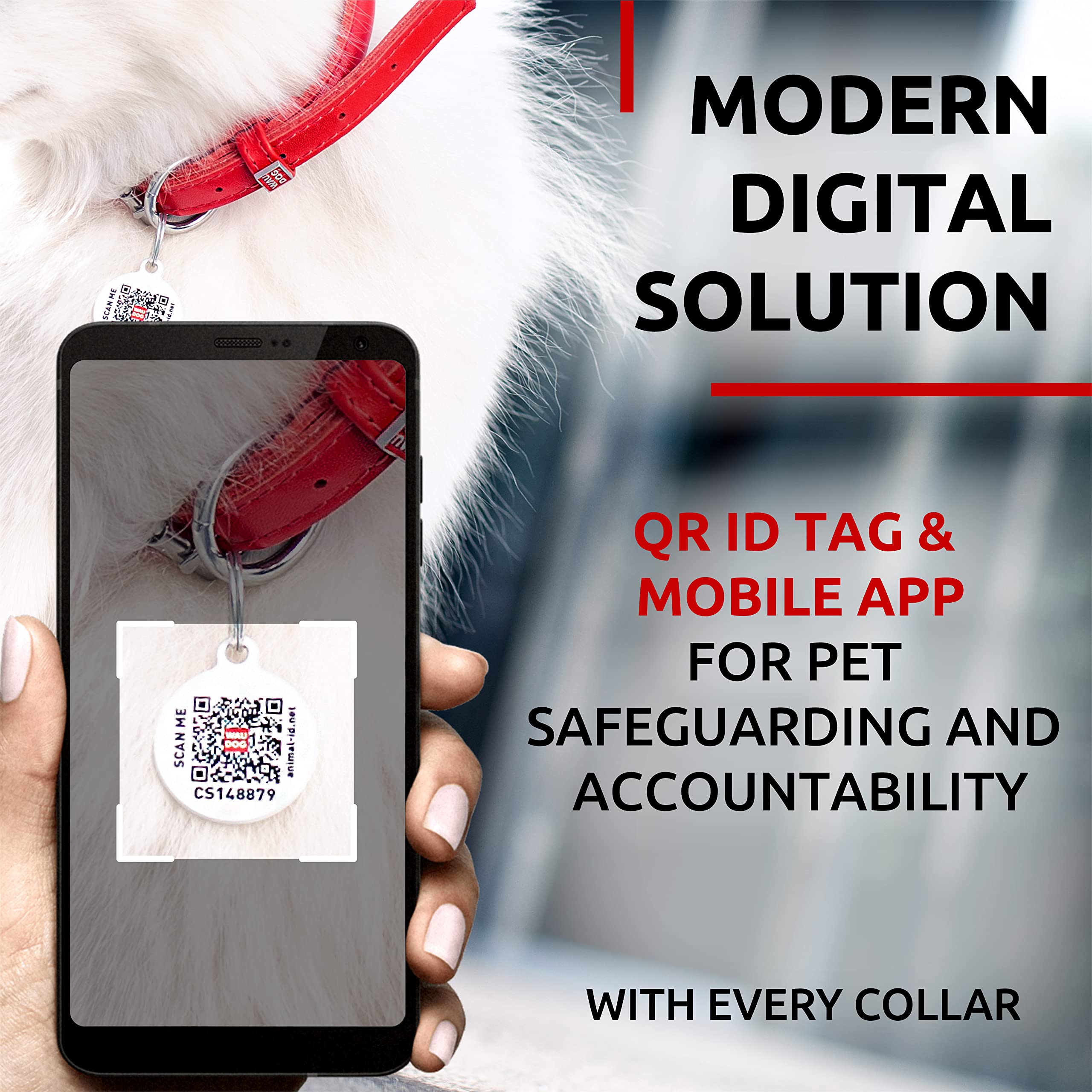WAUDOG collar de cuero suave para perro pequeño, cómodo y ajustable