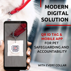 WAUDOG collar de cuero suave para perro pequeño, cómodo y ajustable