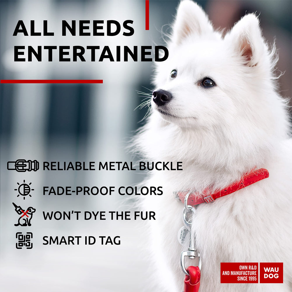 WAUDOG collar de cuero suave, uso diario al exterior, ideal para paseos largos