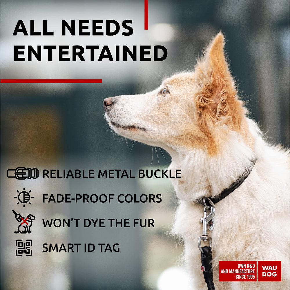 WAUDOG collar diseño brillante para perro grande, estilo y funcionalidad