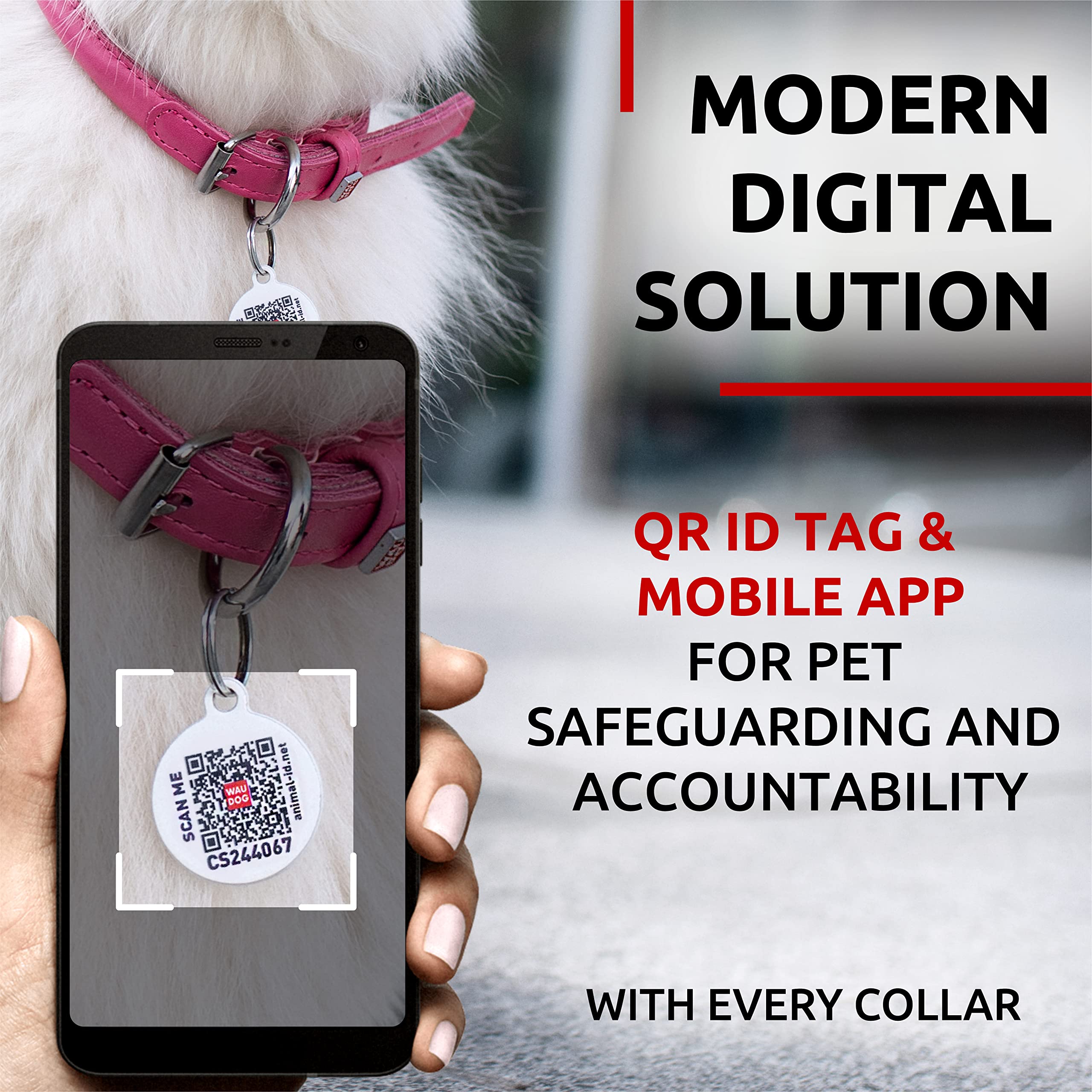 WAUDOG collar de cuero enrollado con hebilla metálica duradera para uso diario.