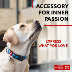WAUDOG collar de nylon ajustable para perro mediano, ajuste seguro y cómodo.