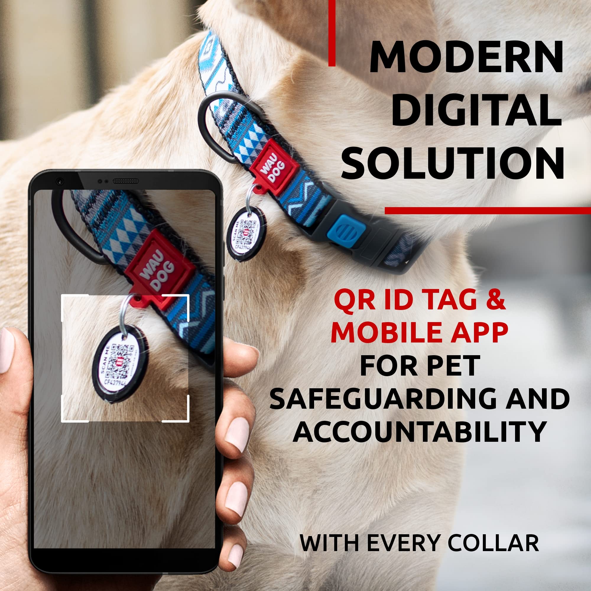 WAUDOG collar de nylon ajustable para perro pequeño, buena sujeción diaria.