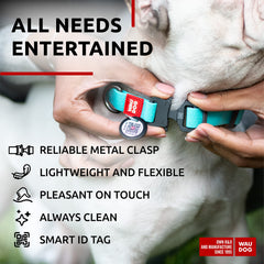 WAUDOG etiqueta QR identifica al perro y facilita el contacto de emergencia