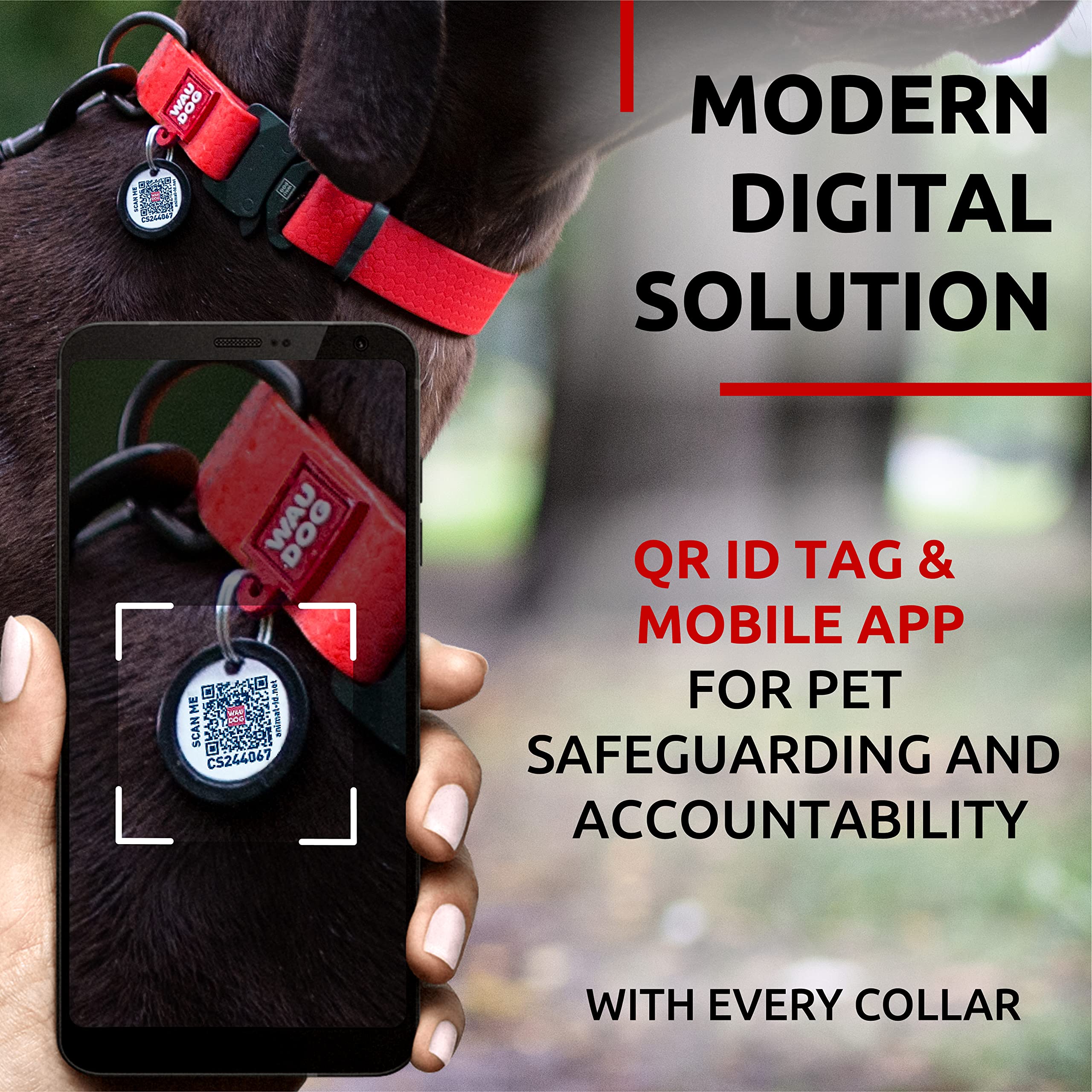 WAUDOG etiqueta QR para perro, localización rápida y reducción de pérdidas
