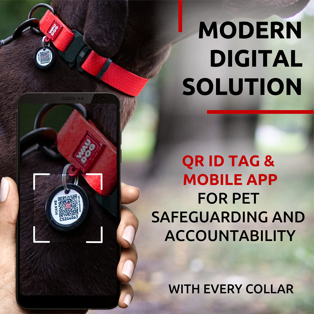 WAUDOG etiqueta QR para perro, localización rápida y reducción de pérdidas