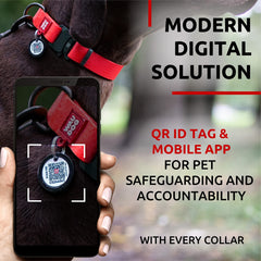 WAUDOG etiqueta QR para perro, localización rápida y reducción de pérdidas