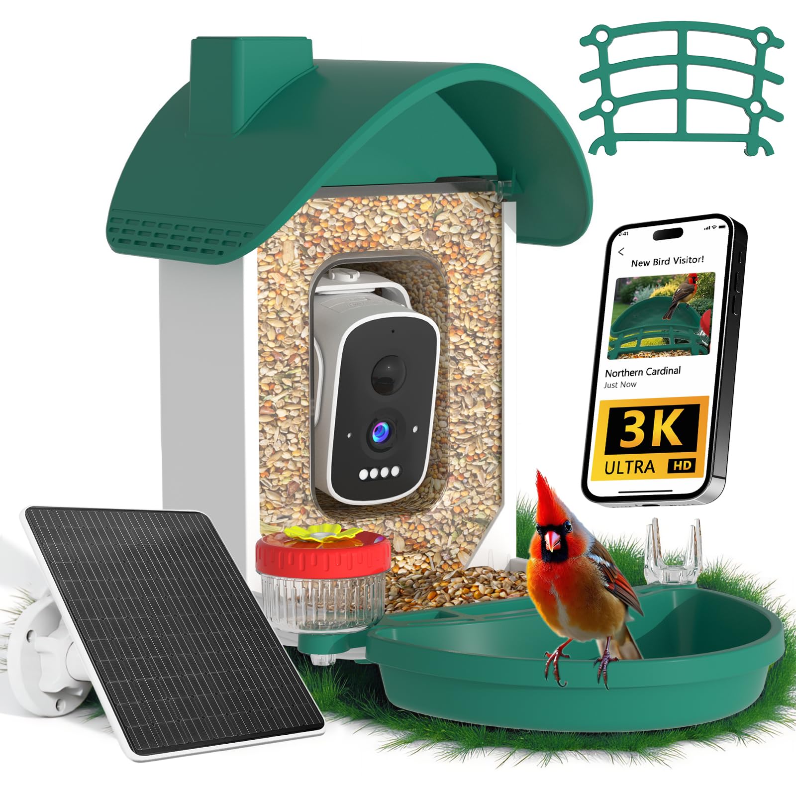 WAVEEME comedero-pajaros-camara: observa aves acercándose con detalle.