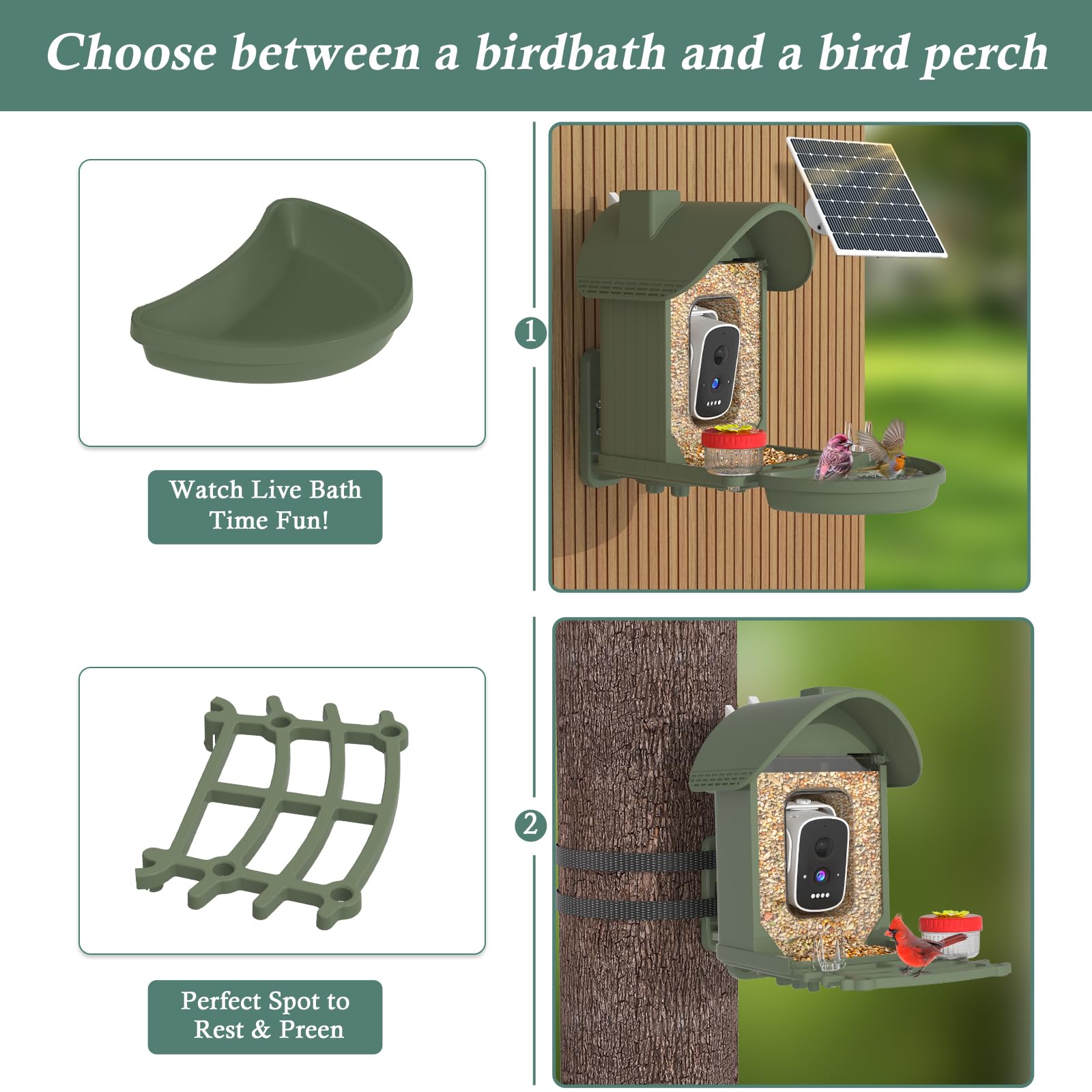 WAVEEME reconocimiento IA para aves identifica especies al instante para aprender.