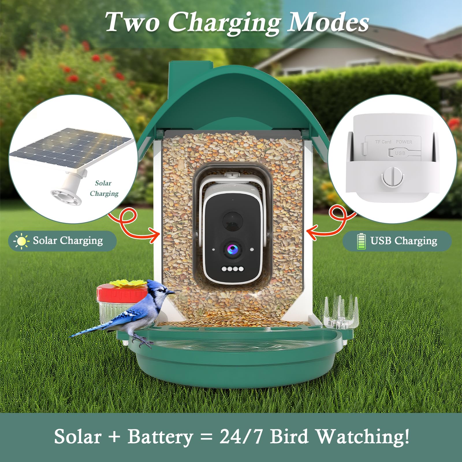 WAVEEME vision-nocturna-inteligente: observa aves nocturnas con claridad.