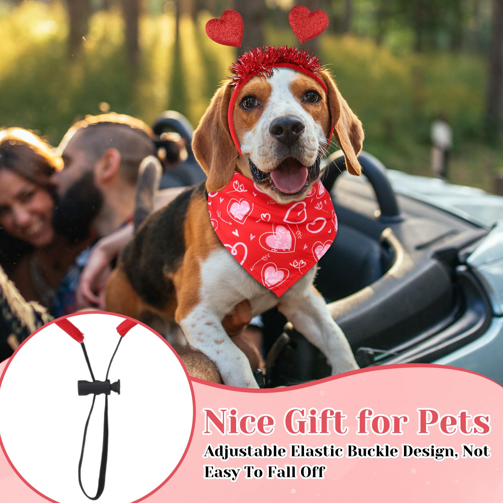 Wavwavw set de 18 piezas para mascotas, ideal para fotos y celebraciones