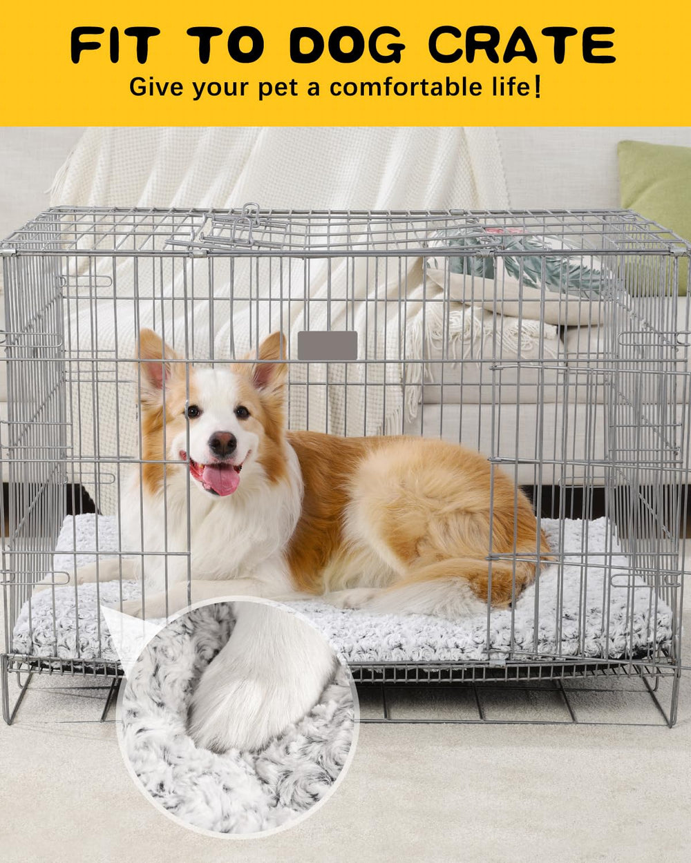 WAYIMPRESS etiqueta de tamaño 23x17, ideal para perros pequeños.