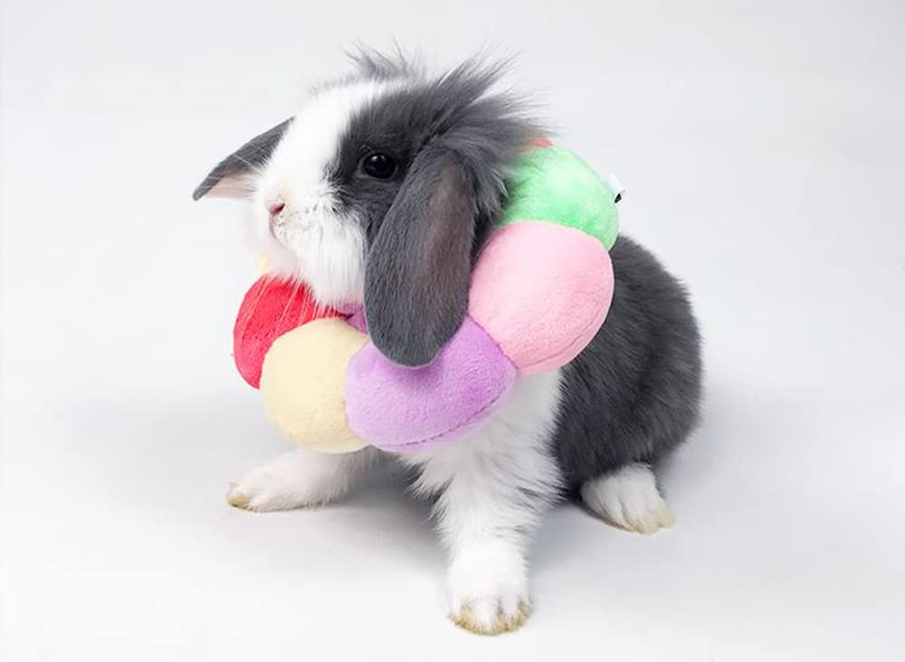Ajuste flexible WCDJOMOP para mascotas, cómodo para comer y dormir.
