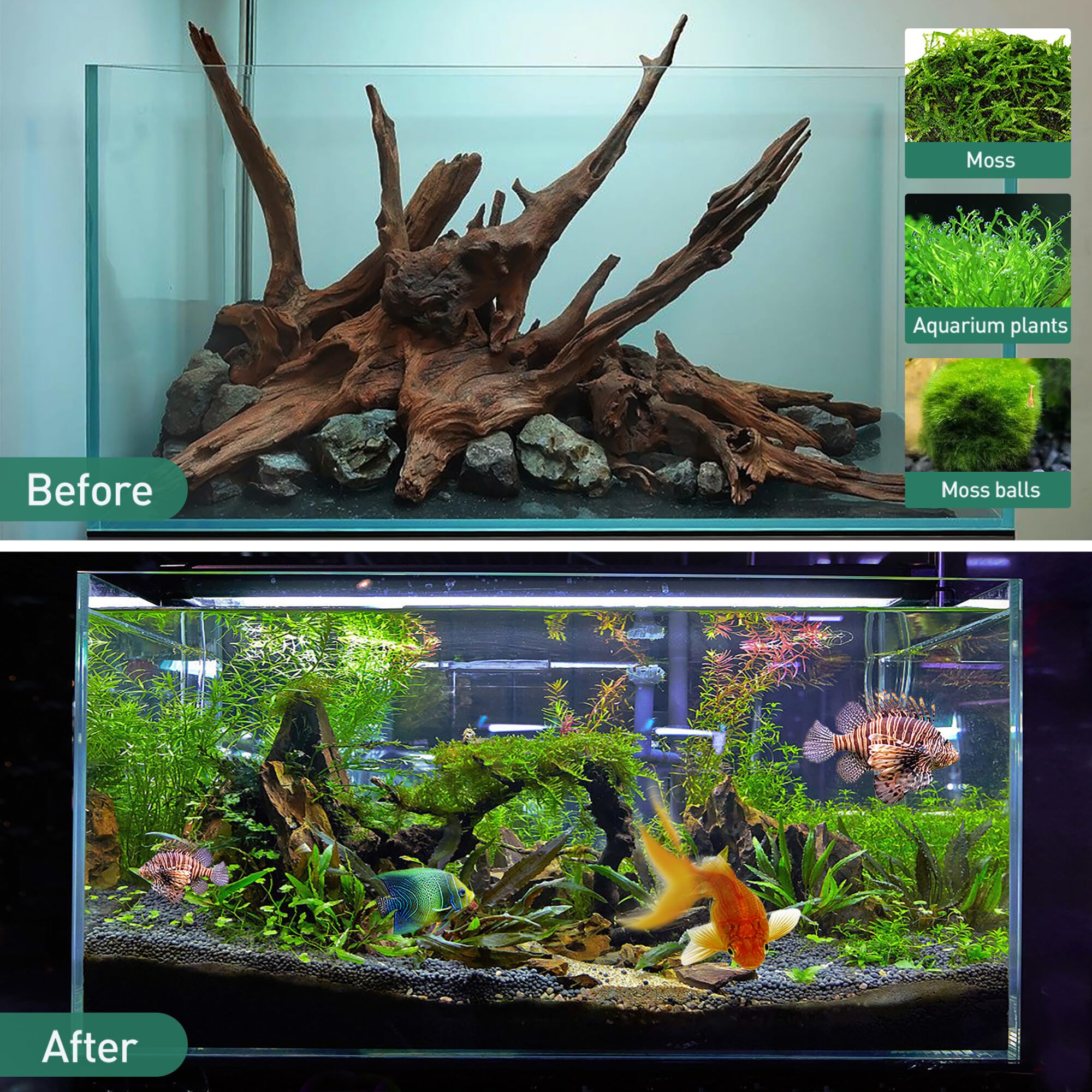 WDEFUN madera flotante para acuario, aporta un aspecto natural para plantas y musgos.