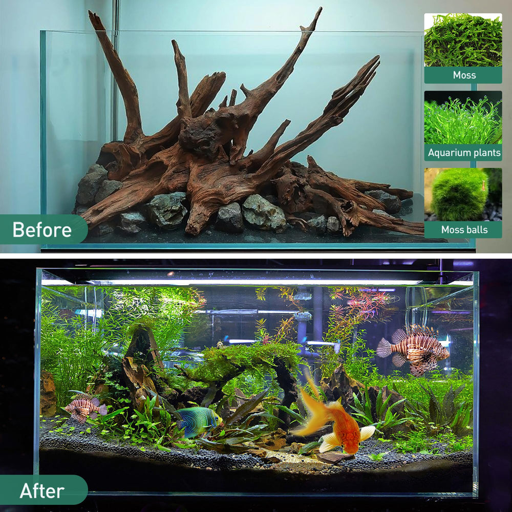 WDEFUN madera flotante para acuario, aporta un aspecto natural para plantas y musgos.