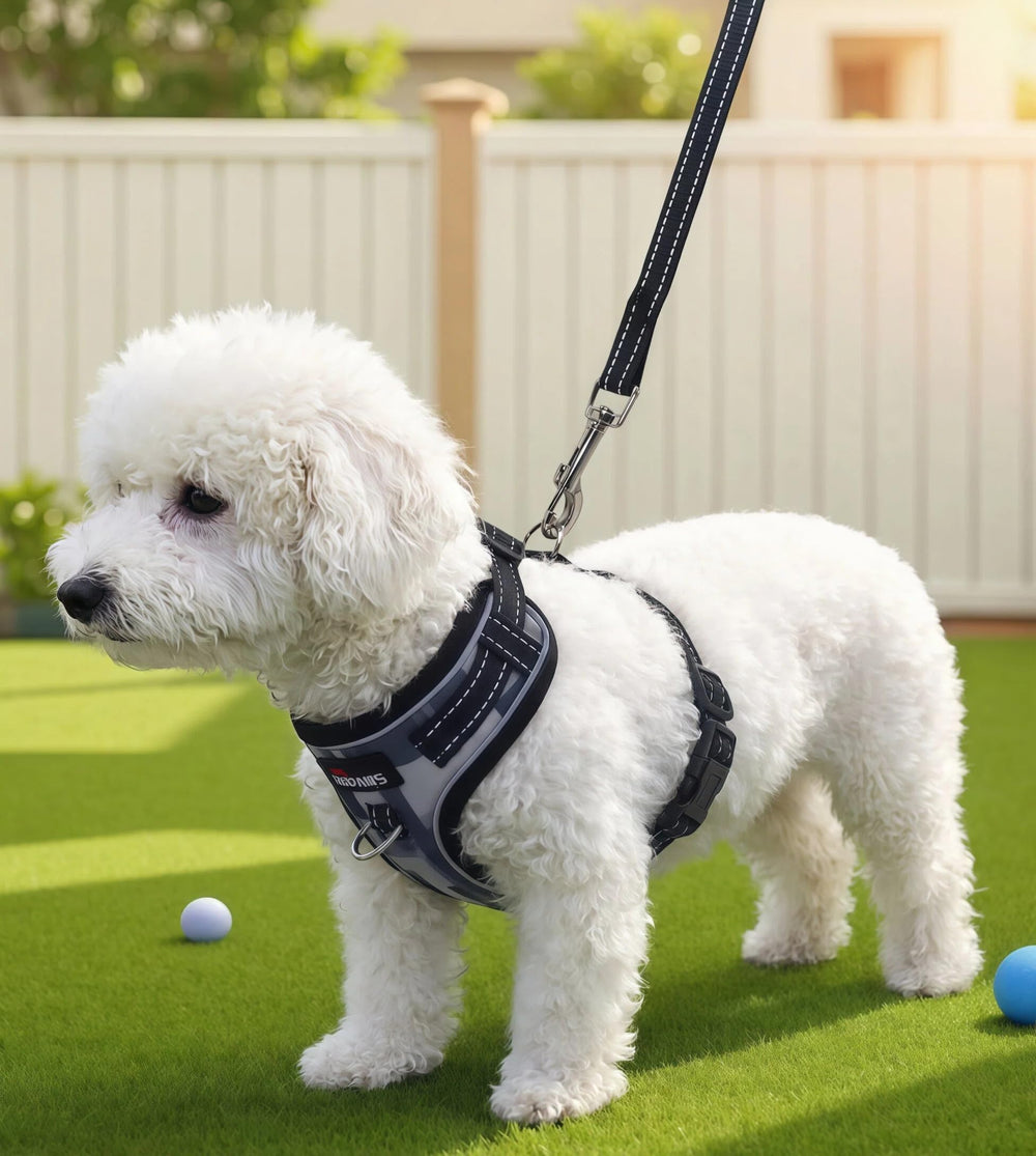 WDPAWS arnés con cintas reflectivas para caminatas nocturnas seguras.