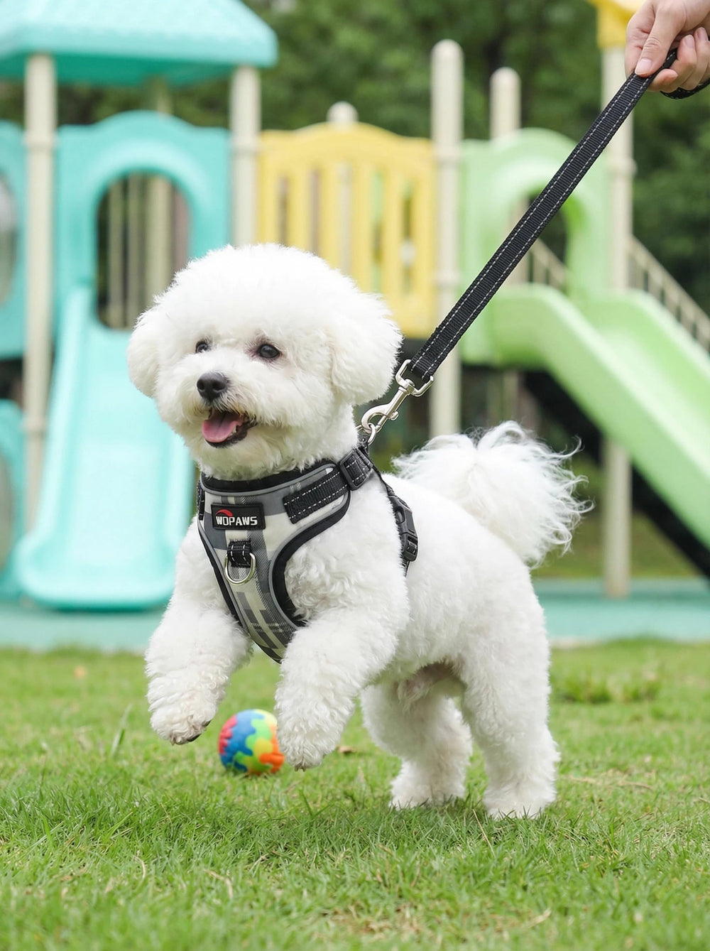 WDPAWS correa frontal con anilla D para control suave.