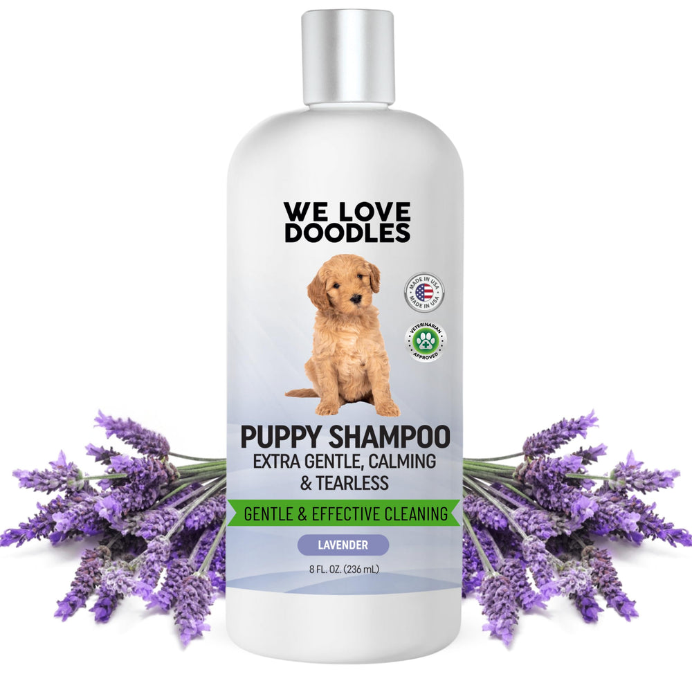 We Love Doodles champú para cachorros con lavanda y limpieza suave