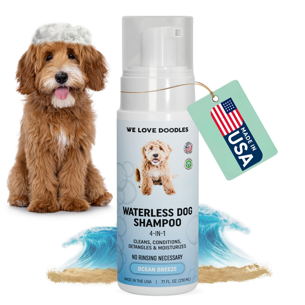 We Love Doodles champú seco para perros Brisa Marina en botella, aroma fresco
