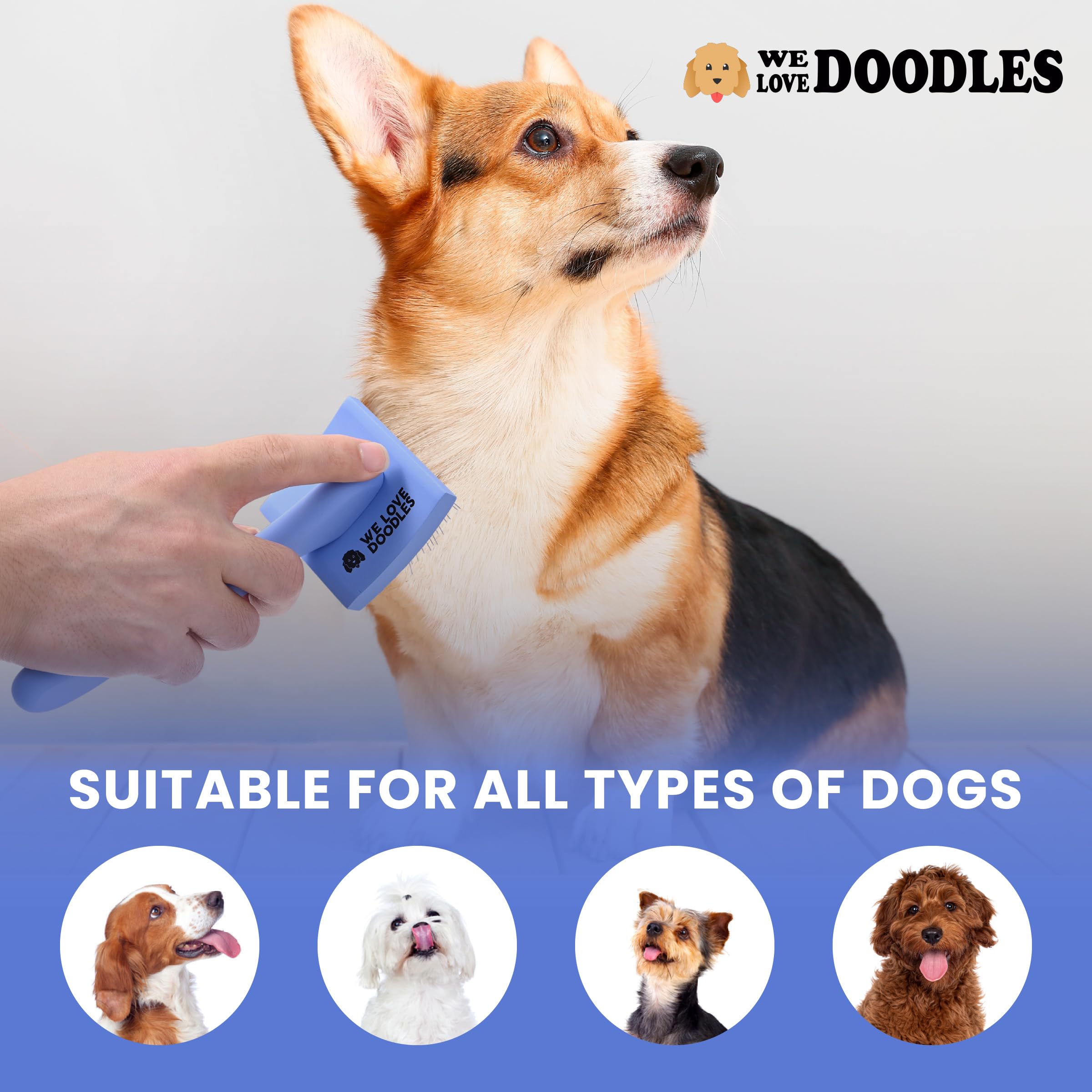 We Love Doodles: desenredado eficiente en pelaje rizado de doodles.