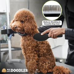 We Love Doodles deslanado para pelo largo