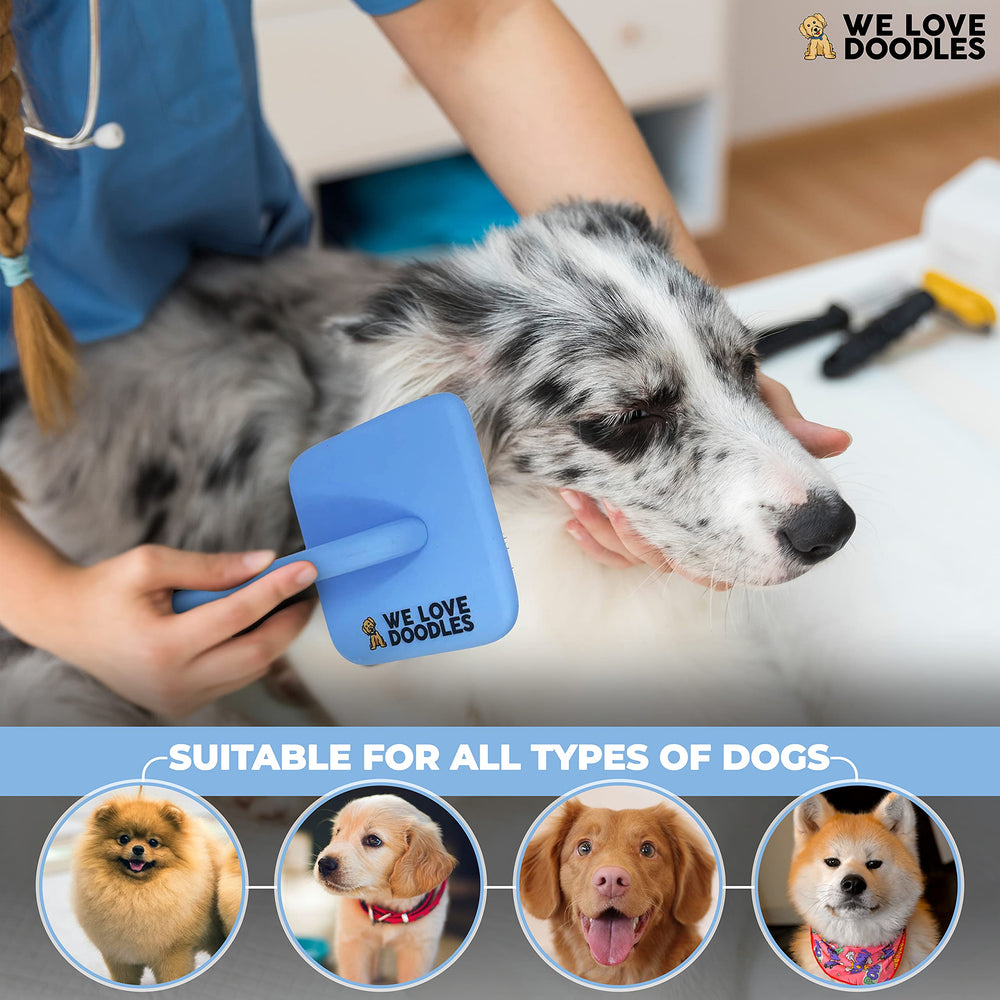 We Love Doodles envase de 16 oz para uso regular